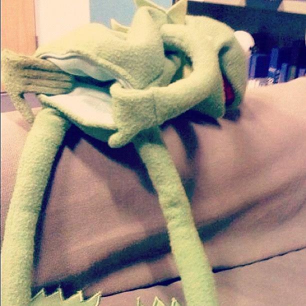 kermit-the-whore-anal-gay-frog-steven-gr