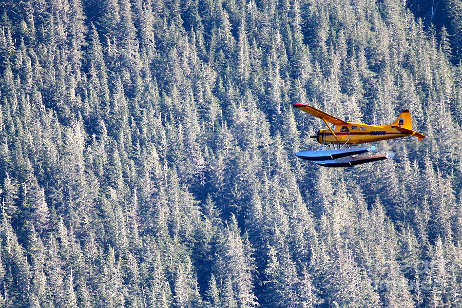 Ketchikan Plane Photograph by Pamela Walrath