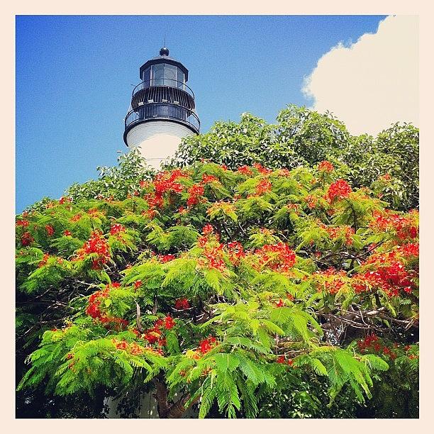Nature Photograph - Key West Lighthouse #old #classic by Sebastiaan Van der Graaf