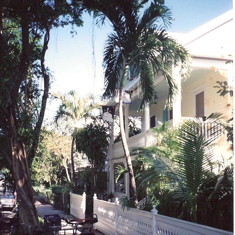 Key West with Cat Photograph by Roger Swezey