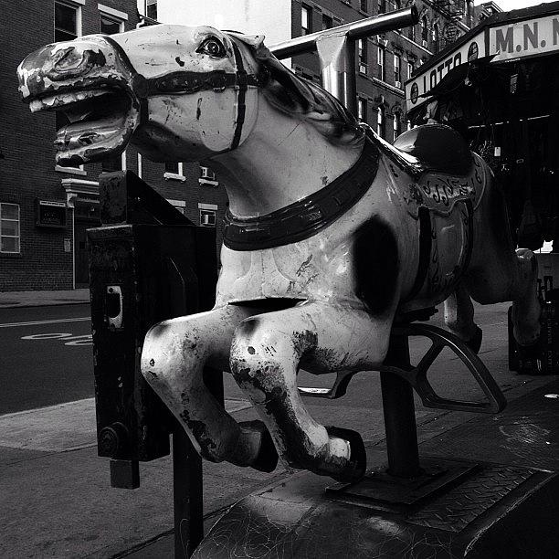 Kiddie Ride Horse - Ny Photograph by Joel Lopez