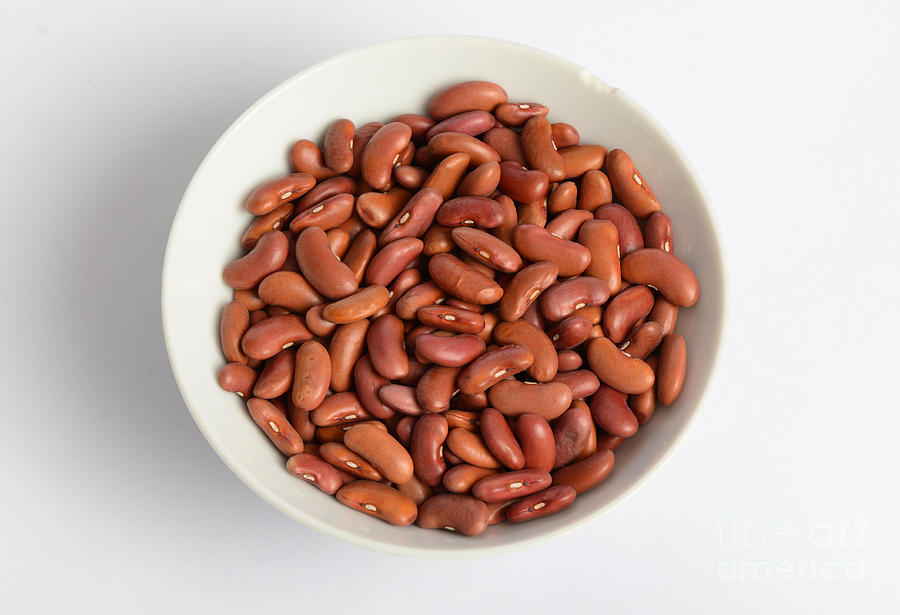 Kidney Bean Photograph by Photo Researchers, Inc.