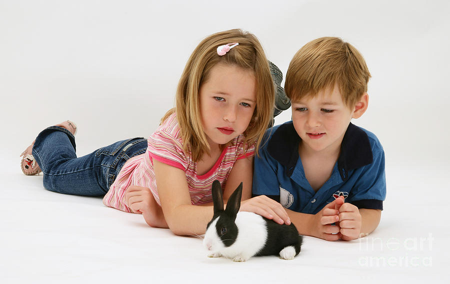 Kids Playing With Rabbit Photograph by Jane Burton