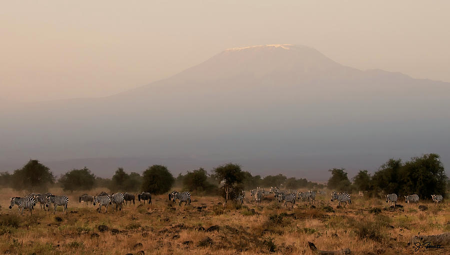 Kilimanjaro Dusk Photograph by Joe Bonita