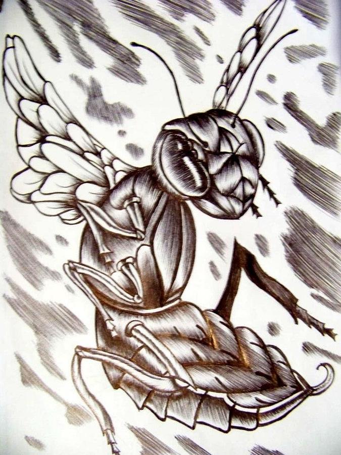Killer Bee Drawing by Lindsey Hughes Fine Art America