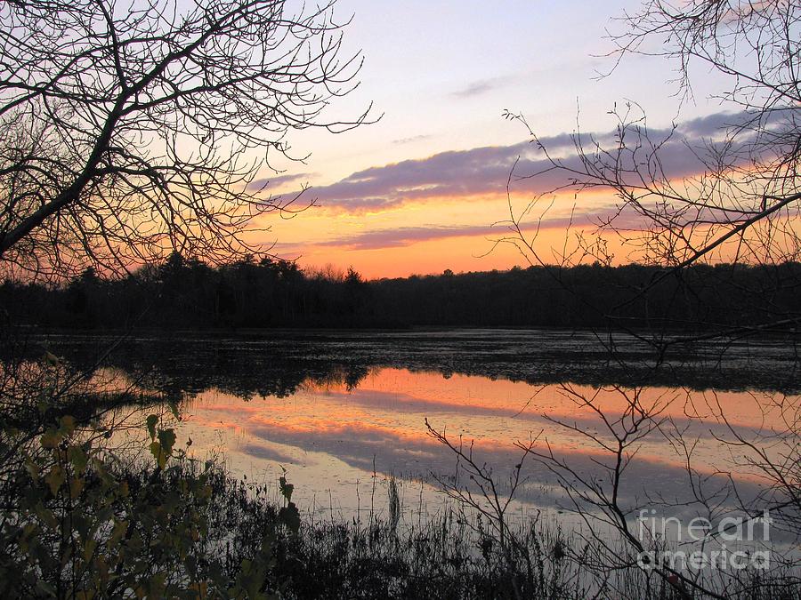 Killingly Pond Reflection Photograph by Lili Feinstein