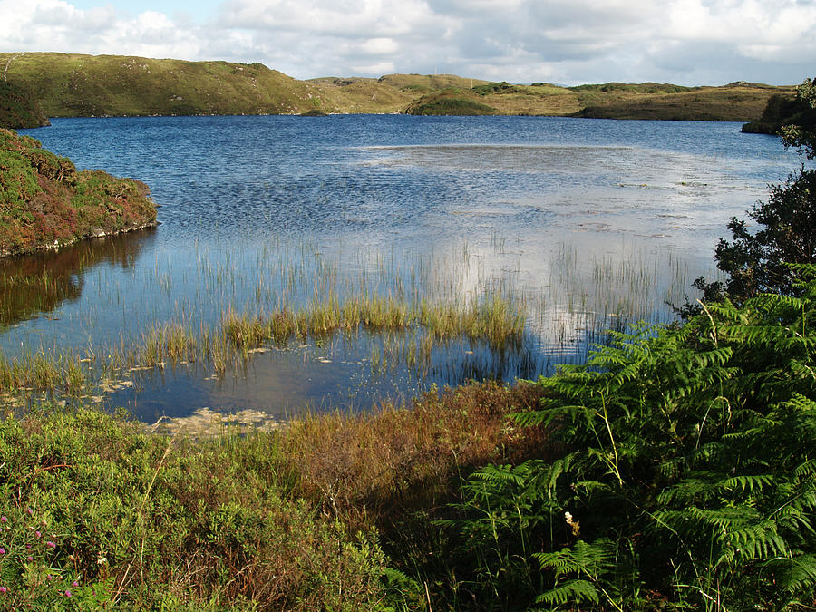 Lake Photograph - Kiltooris Lough by Steve Watson Lake Photograph - Kiltooris Lough by Steve Watson