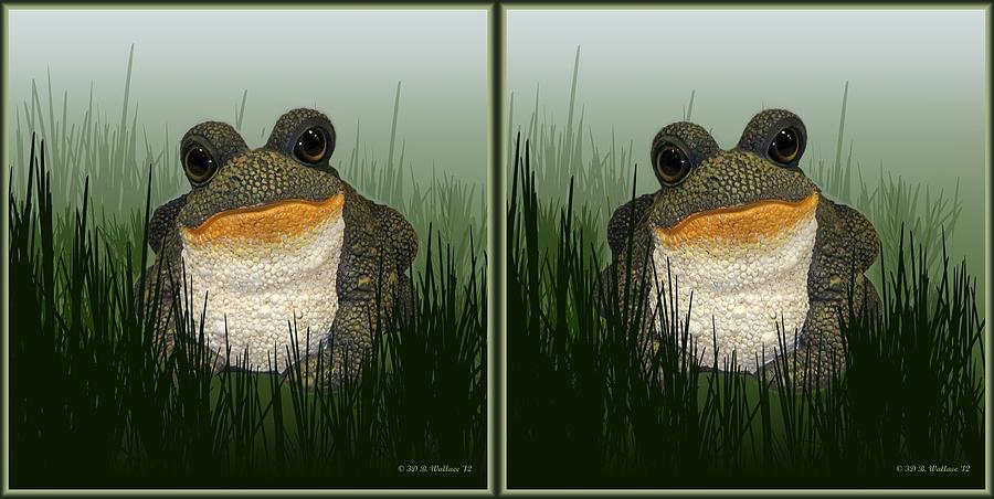 King Frog - Gently cross your eyes and focus on the middle image Photograph by Brian Wallace