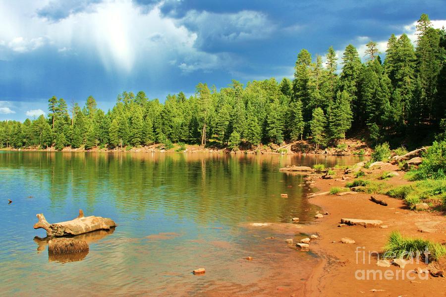 Kings Canyon Lake  Photograph by Julie Lueders 