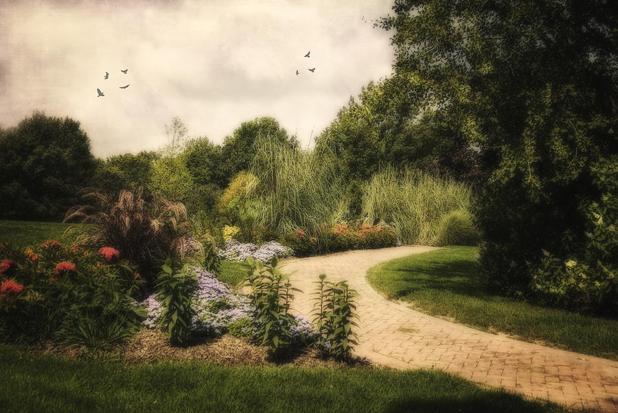 Kingwood Garden Path Photograph by Mary Timman