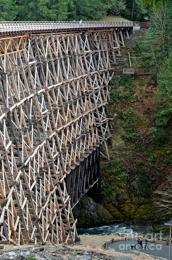 Kinsol River Trestle Study Showing Original Iron Bridge Over Creek Photograph