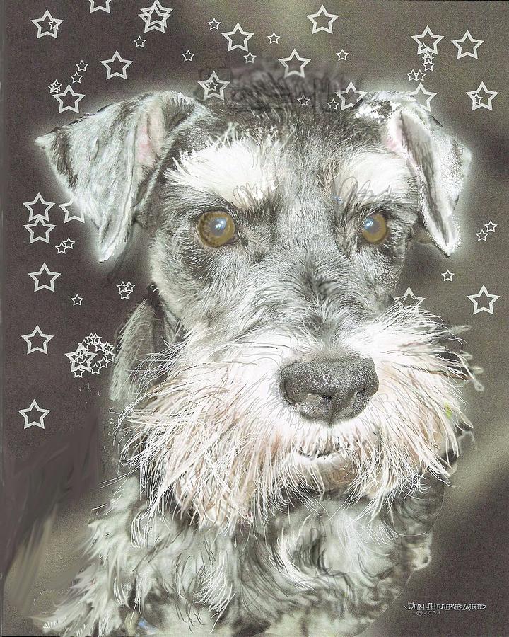 Dog Drawing - Kirby -  rescue dog by Jim Hubbard