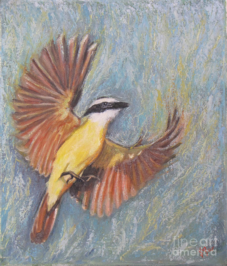 Kiskadee in flight Painting by Judith Zur