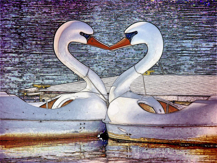 Kissing Swans Photograph by Alice Gipson