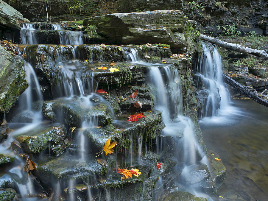 Kitchen Creek Cascades Autumn Ricketts Photograph by Tim Fitzharris