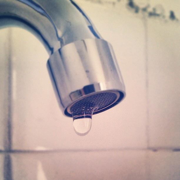 Jhb Photograph - Kitchen Mixer Tap #savewater #drip by Dustin Ross