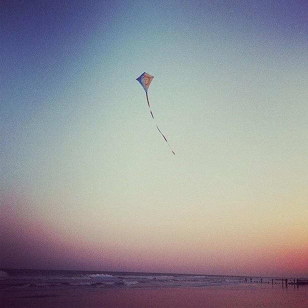 Sunset Photograph - Kite by Brittany Severn