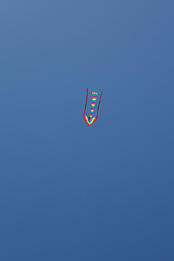 Kite Photograph by Carole Hinding