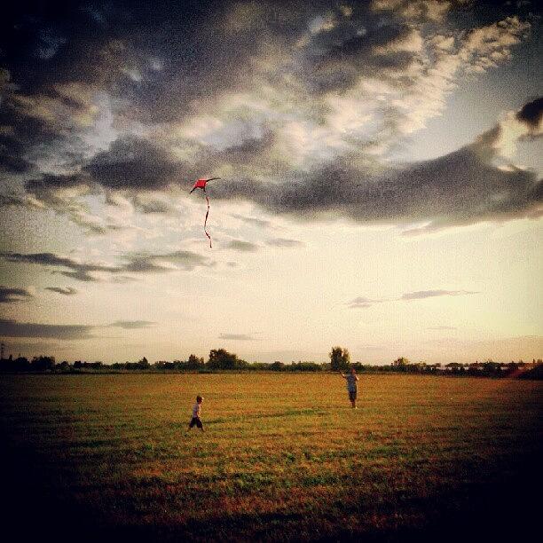 Summer Photograph - #kite, #field, #csepel, #budapest by Kallos Bea