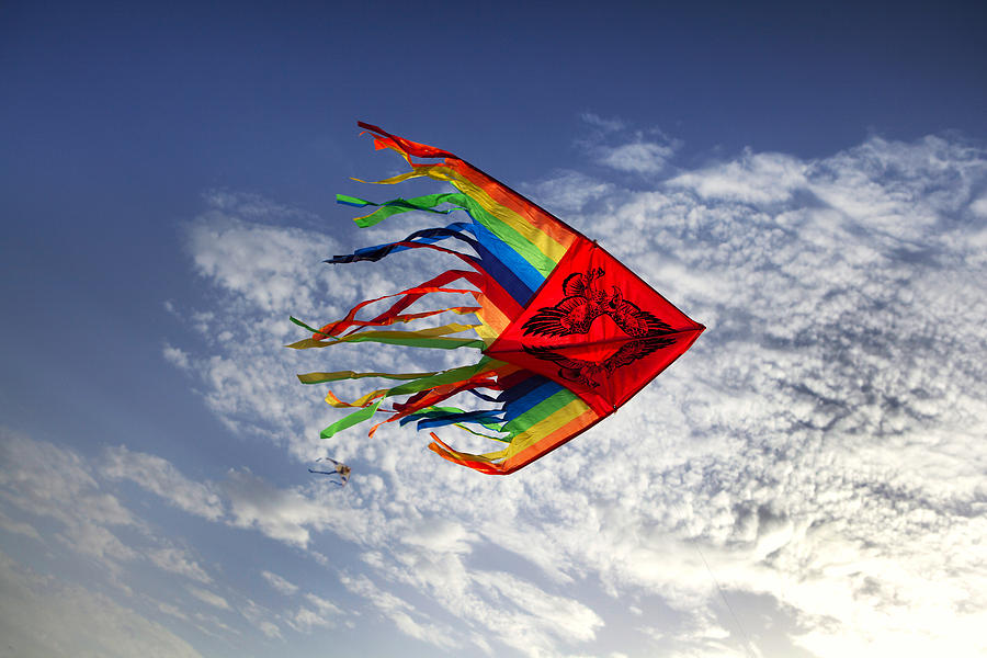 Kite Flying High In A Blue Sky Photograph By Larisa Kroshkin Fine Art America