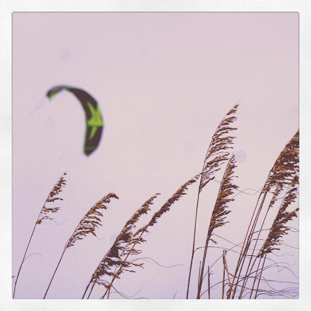 Beach Photograph - #kiteboarding #instahub #picoftheday by Sikena Khadija