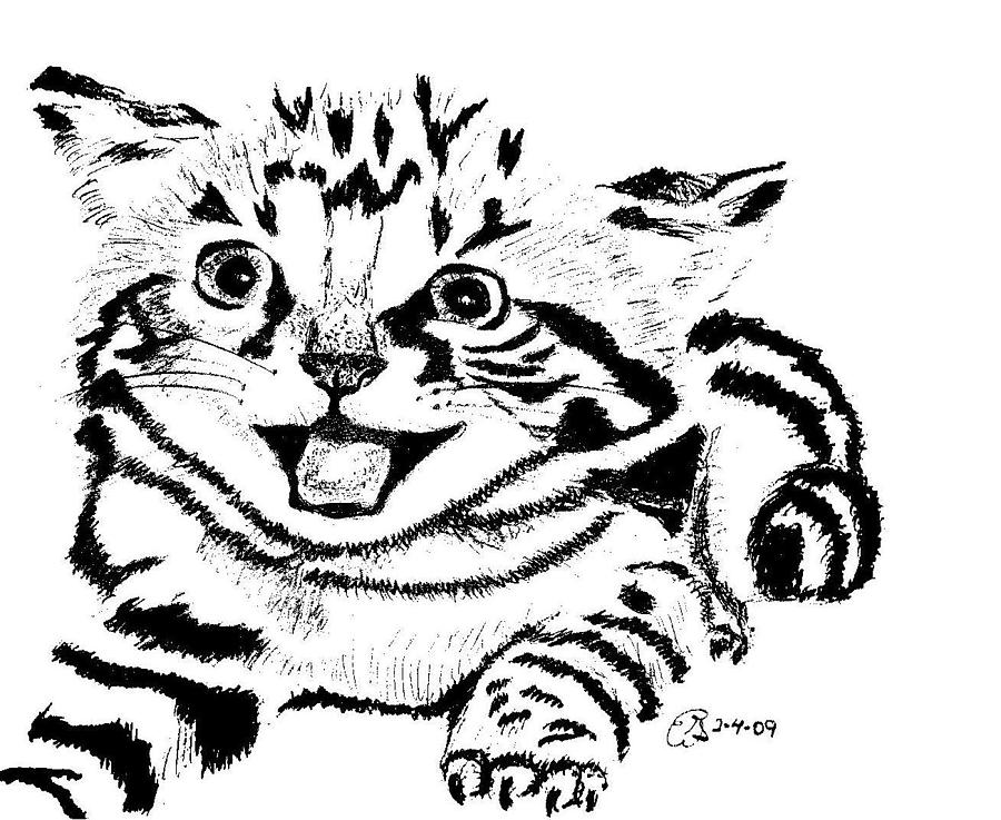 Animal Drawing - Kitten black and white by Gail Schmiedlin