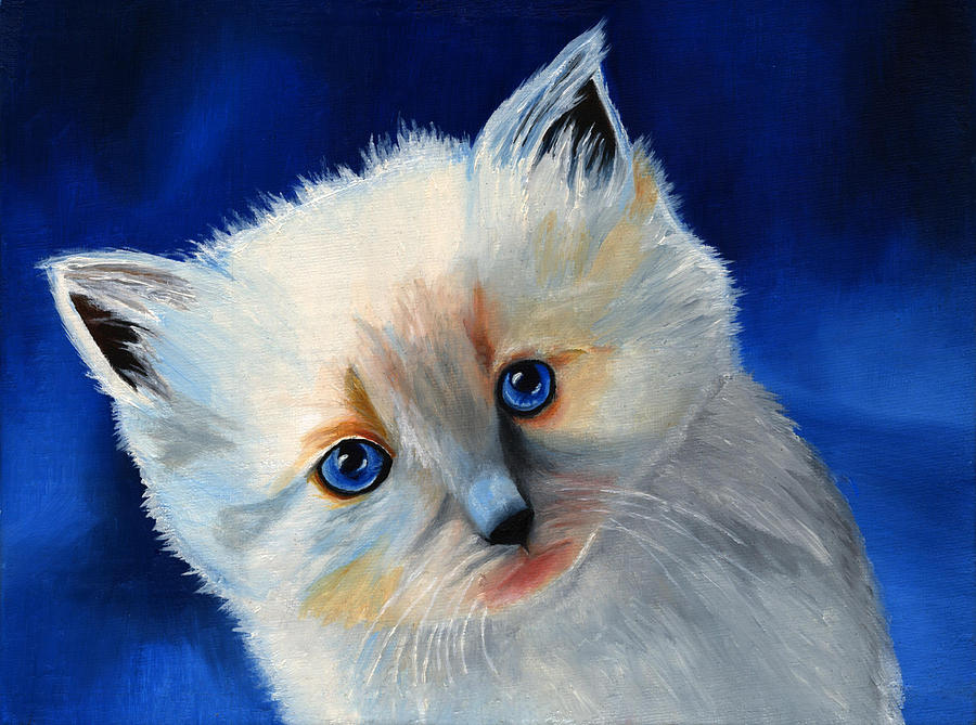 Kitten in Blue Painting by Vic Ritchey
