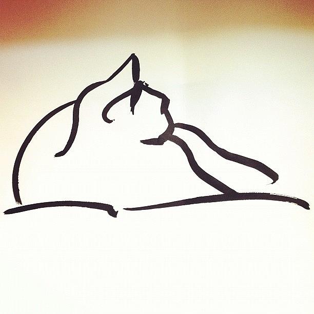 Cat Photograph - #kitty #cat #brush #drawing by Jeff Reinhardt