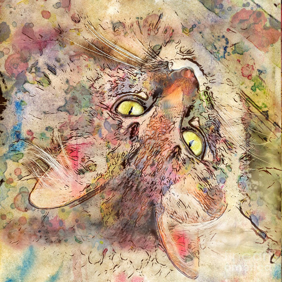 Cat Digital Art - Kitty Fluffs by Marilyn Sholin