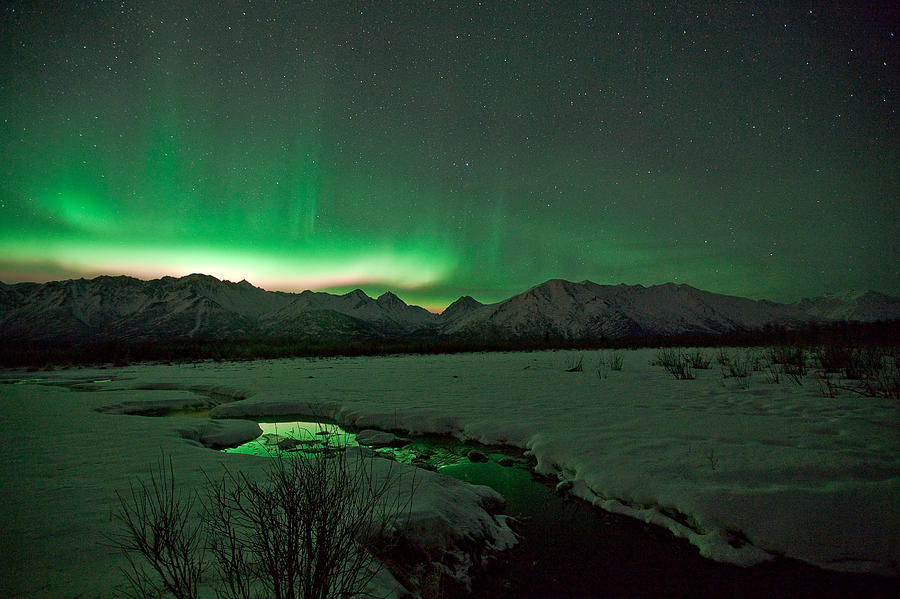 Knik Alaska Northern Lights Photograph by Sam Amato