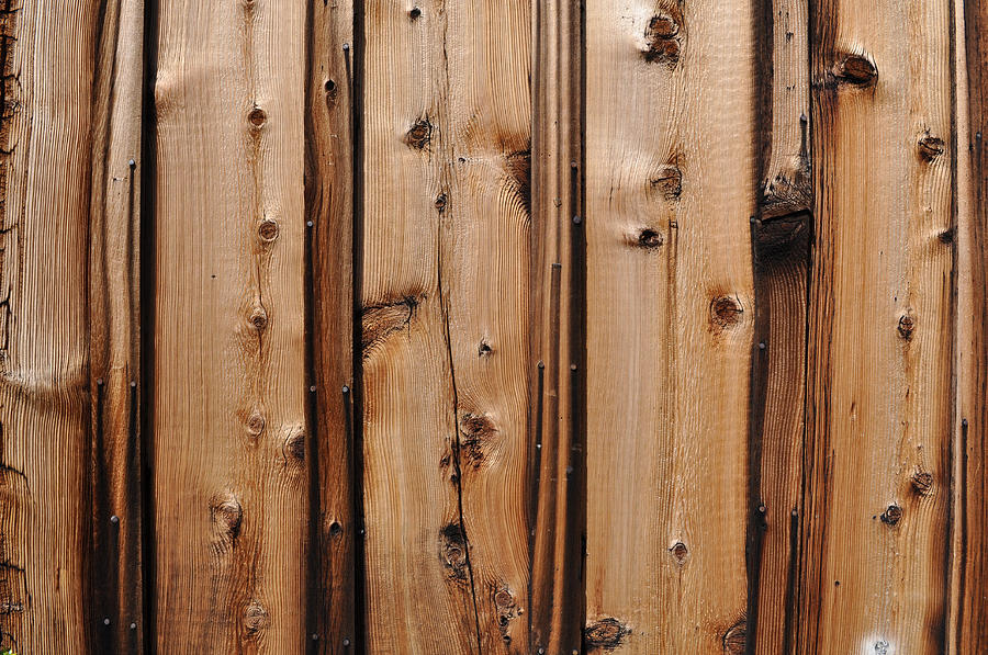 Knotty Pine Wood Background Photograph by Brandon Bourdages - Fine Art ...