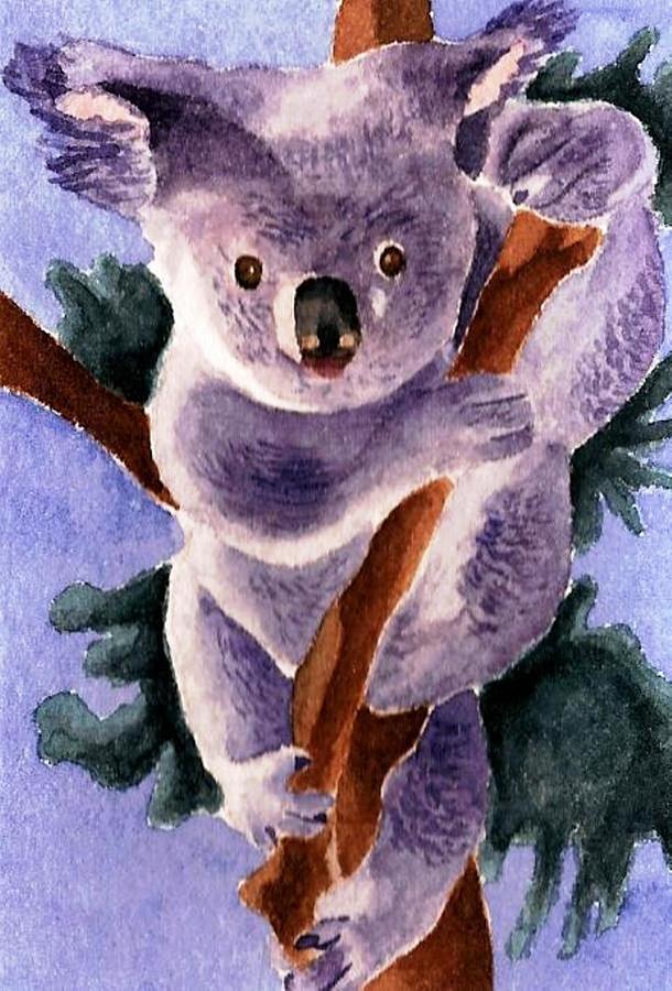 Wildlife Painting - Koala Bear by Chris Martinez