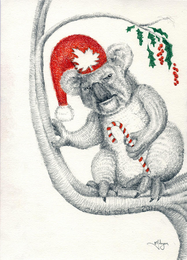 Koala Christmas Drawing by Mark Johnson