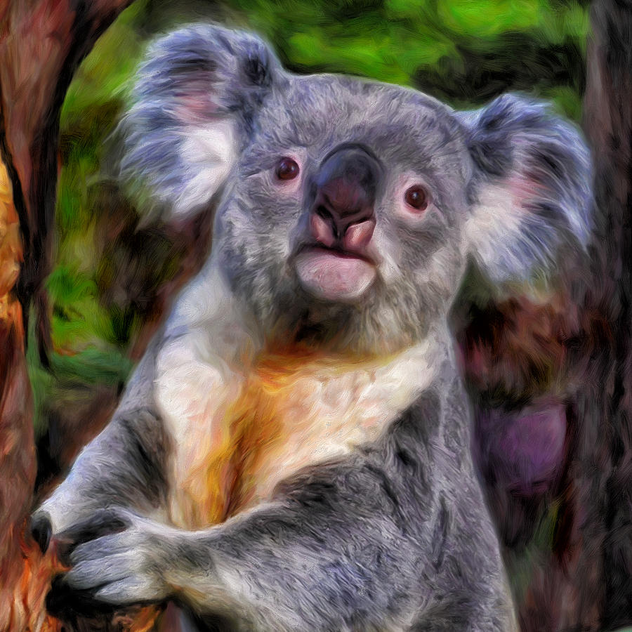 Koala Painting by Dominic Piperata - Fine Art America
