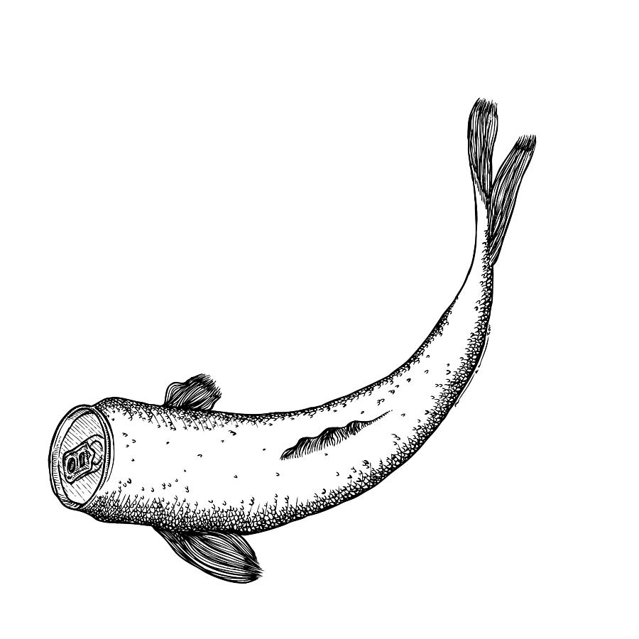 Fish Drawing - Koi Can Fish  by Karl Addison