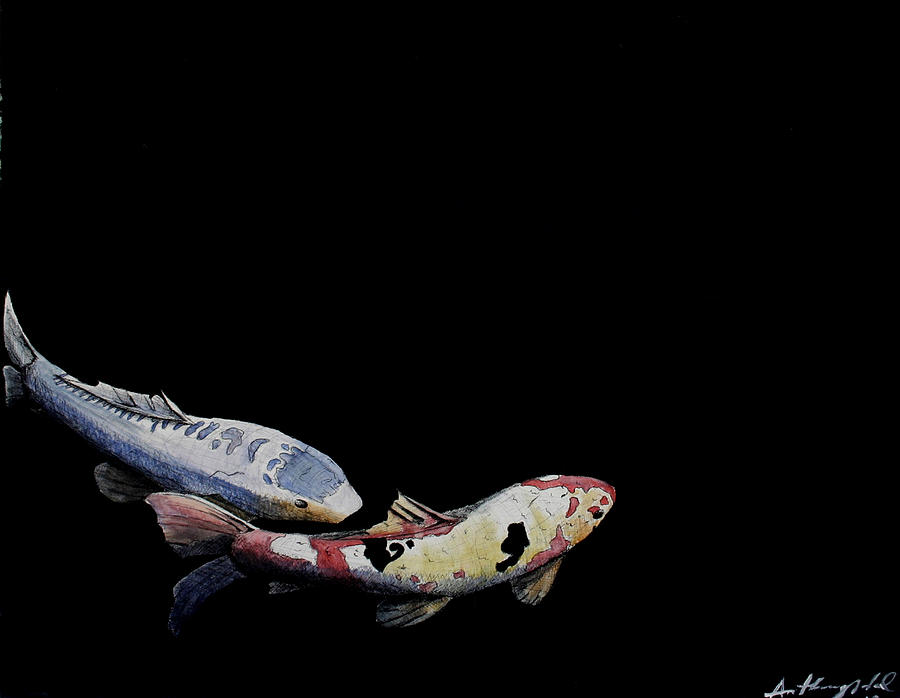 Koi Painting - Koi Fish Swim by Anthony Nold