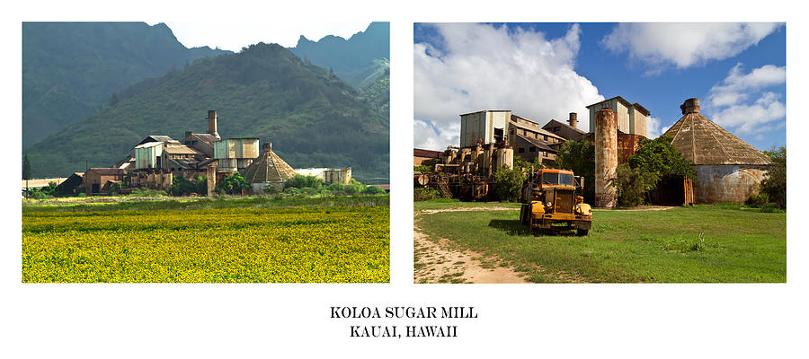 Koloa Sugar Mill Diptych Photograph by Roger Mullenhour