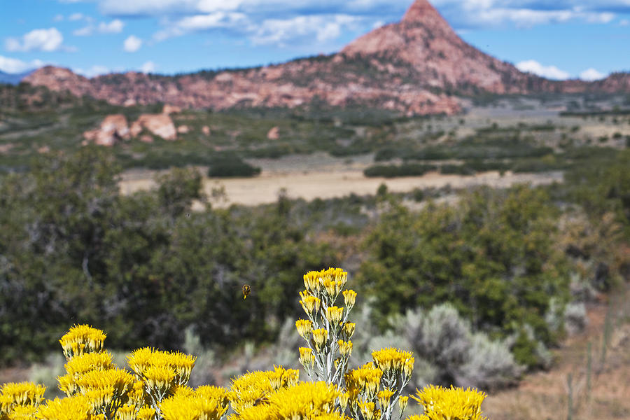 Kolob Terrace Photograph - Kolob Terrace Red Buttes by Mike Herdering Kolob Terrace Photograph - Kolob Terrace Red Buttes by Mike Herdering