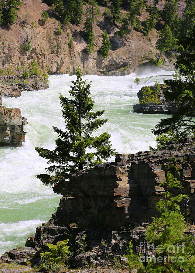 Kootenai Falls in Montana Photograph by Carol Groenen