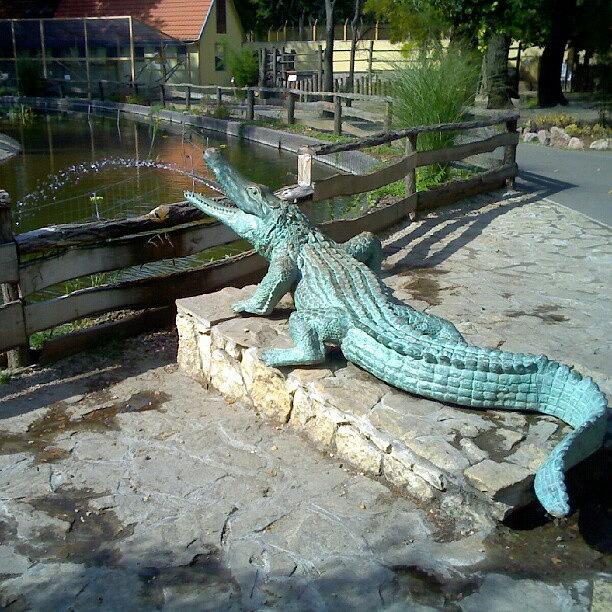 Crocodile Photograph - Krokodil Szökőkút @ Xantus János by Tibor Kiraly