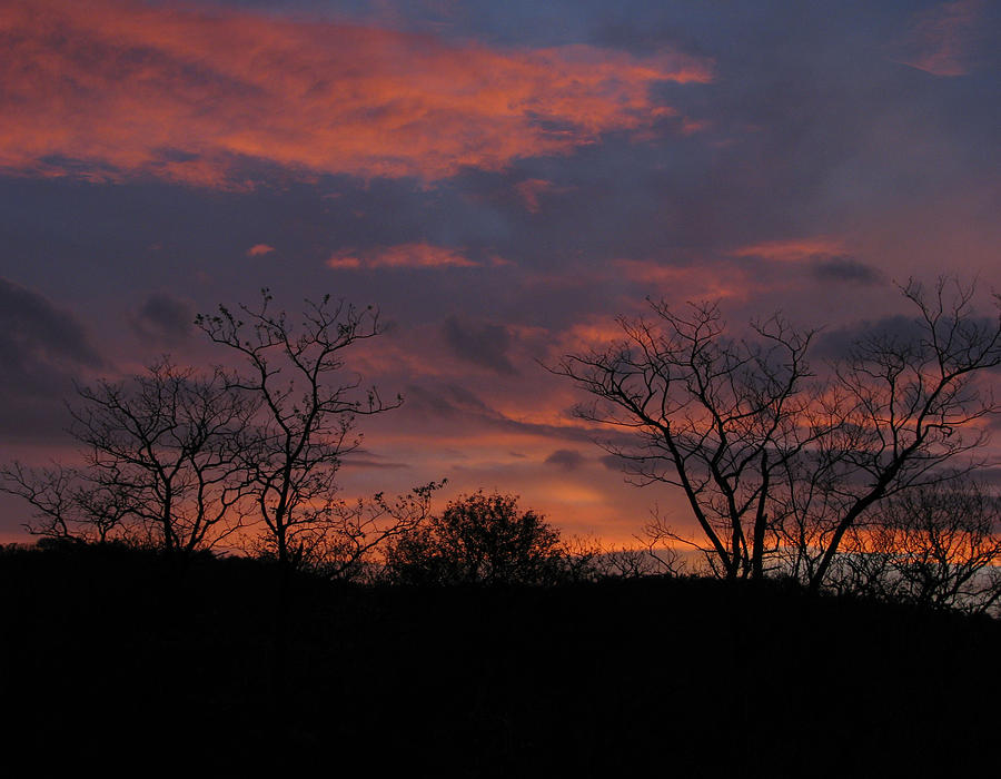 Kruger at Sunset Photograph by Joseph G Holland
