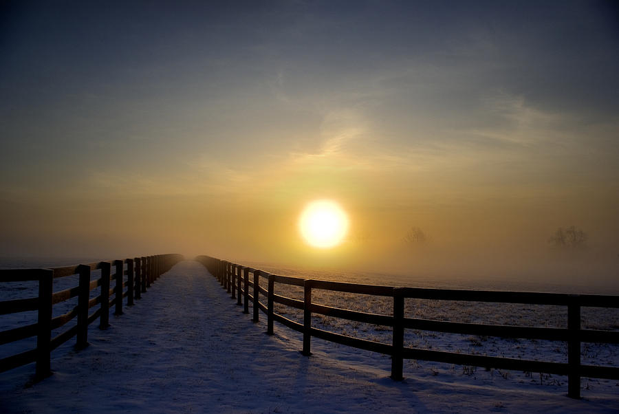 Ky Horse Farm Winter Sunrise Photograph by Tony Jack Gayhart - Fine Art ...