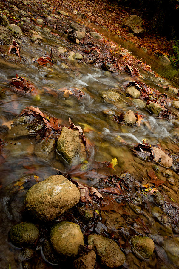 Fall Photograph - Kziv Stream by Nadya Ost