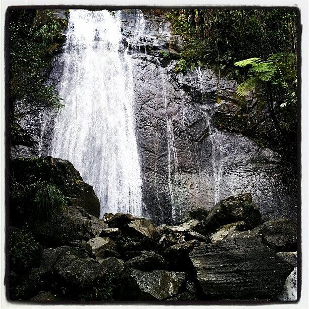 Nature Photograph - La Coca Falls, El Yunque Rain Forest by Tania Torres