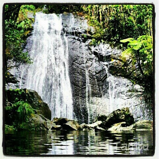 Nature Photograph - La Nueva Coca Falls :) #yunque by Tania Torres