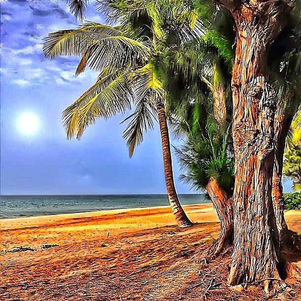Beach Photograph - La Palma..🌴 by Christian Concepcion