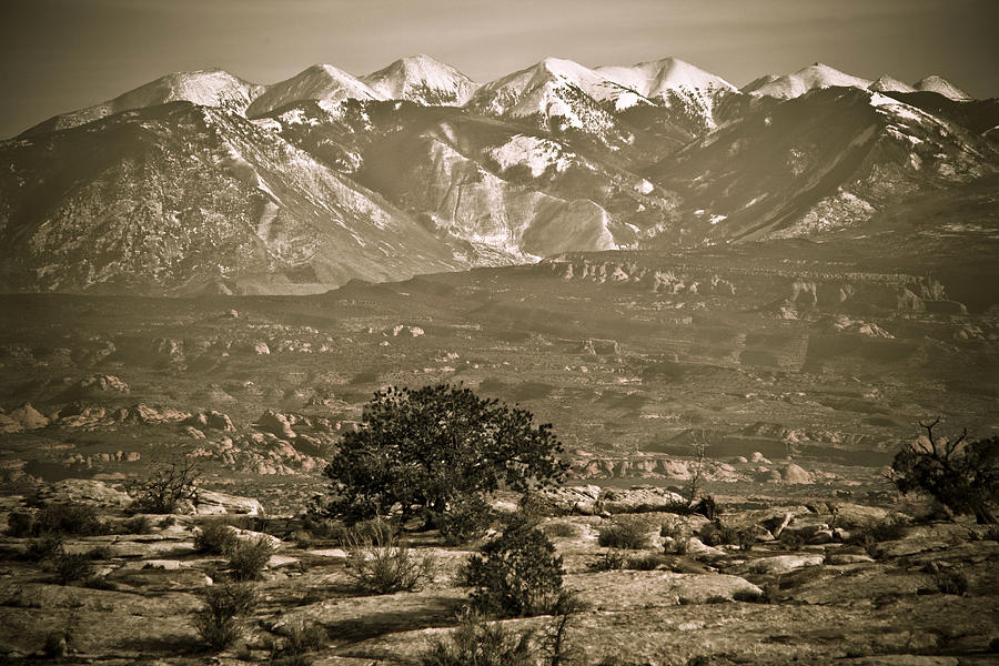 La Sal Mountains utah Photograph by Marilyn Hunt | Fine Art America