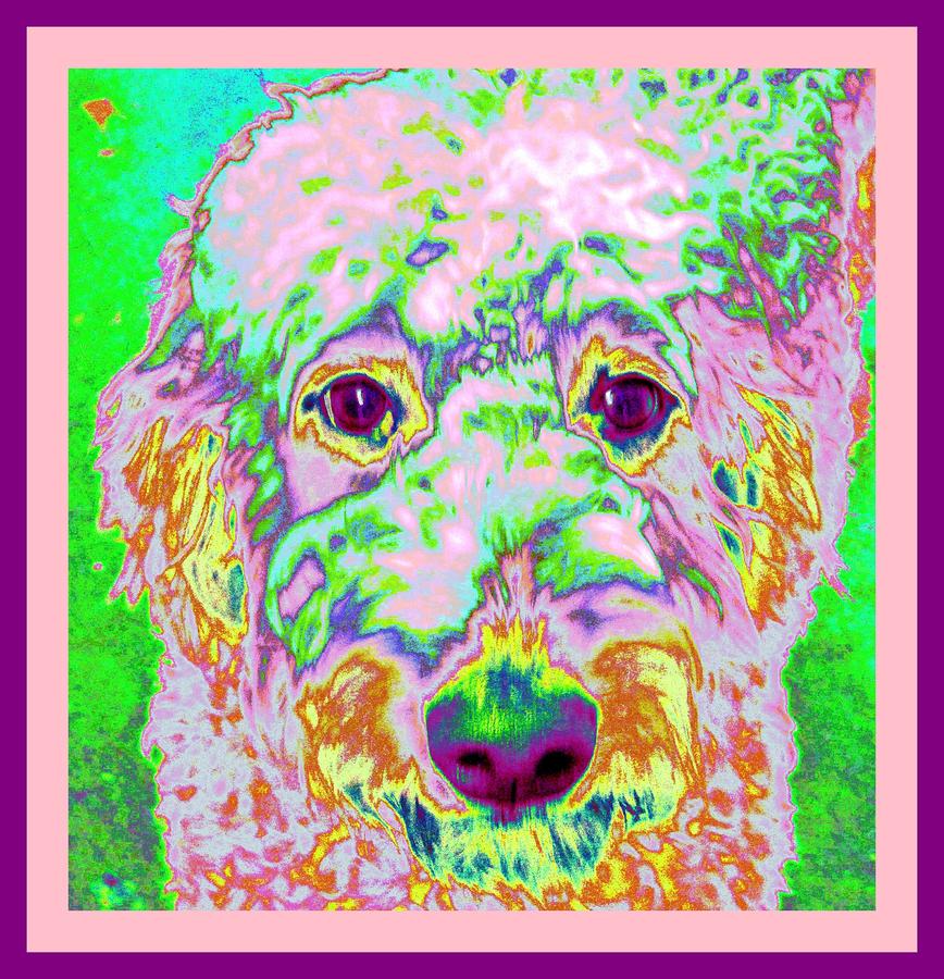 Dog Digital Art - Labradoodle Dandy by Pam Utton