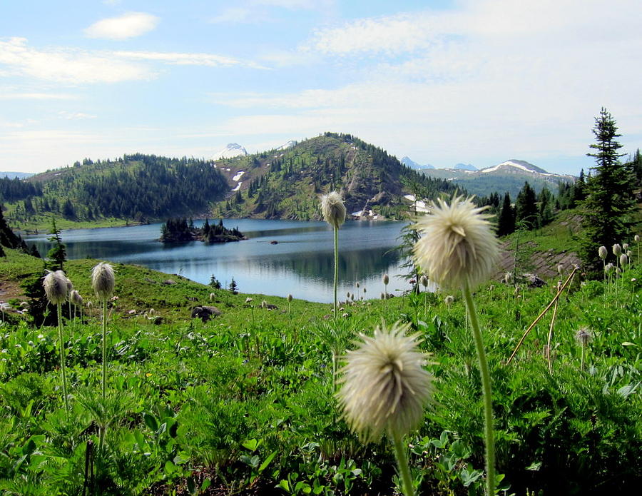 Lac Rock Isle BC Photograph by Baratz Tom | Fine Art America