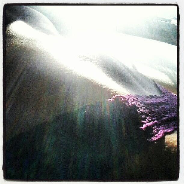 Lace Photograph - #lace #purple #underwear #skin by Lila Sisk-Popow